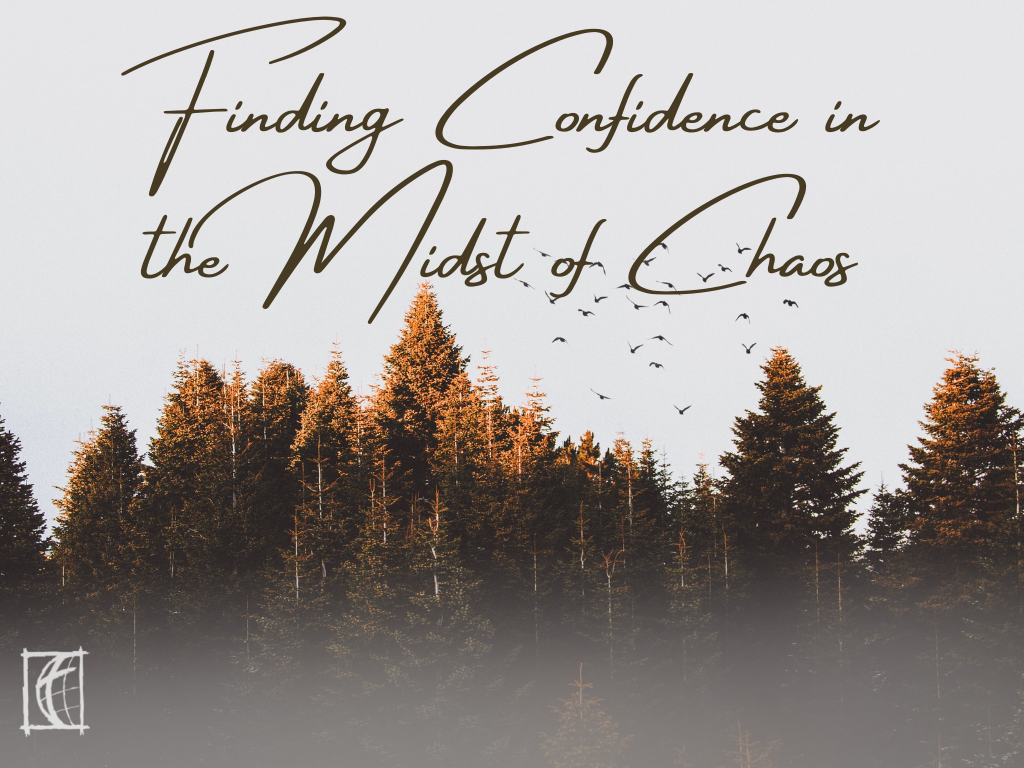 Finding Confidence in the Midst of Chaos
