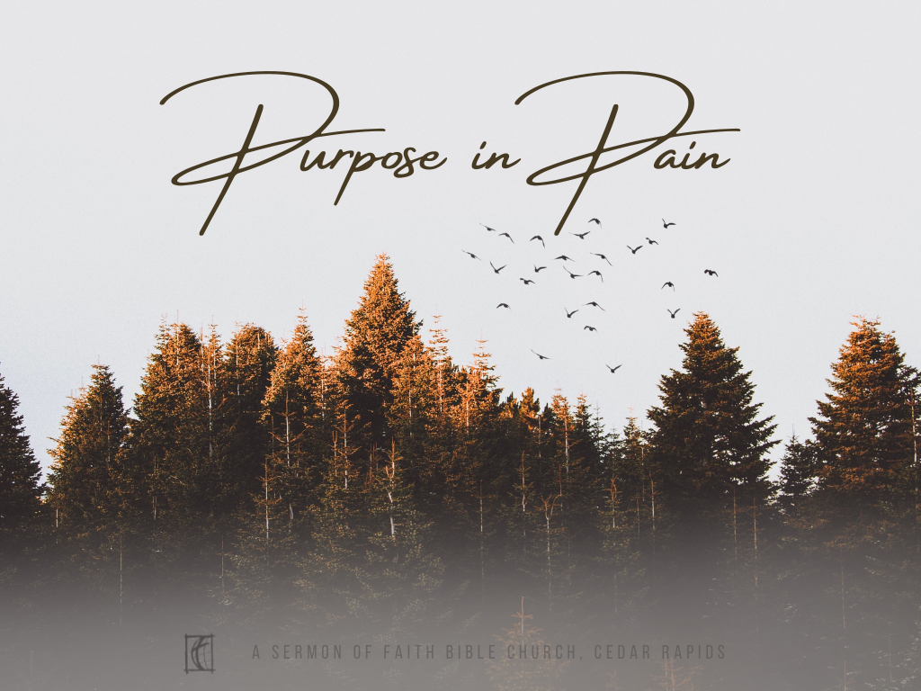 Purpose in Pain