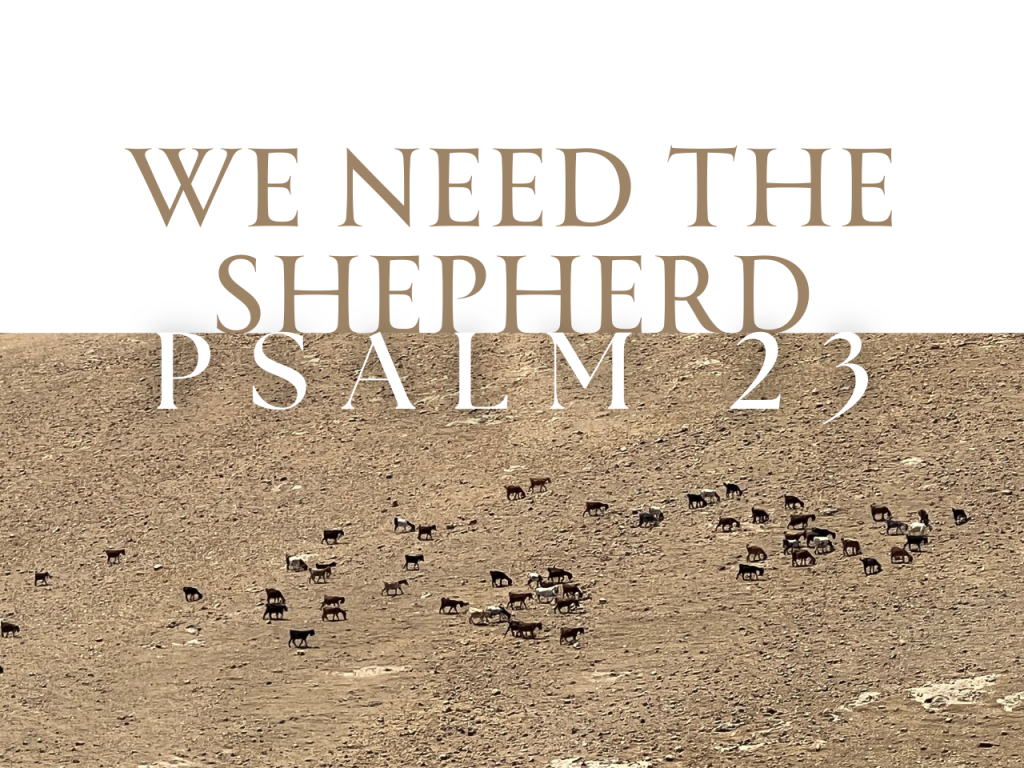 We Need the Shepherd